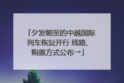 夕发朝至的中越国际列车恢复开行 线路、购票方式公布→