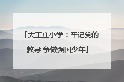 大王庄小学：牢记党的教导 争做强国少年