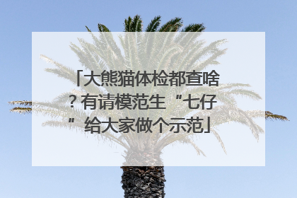 大熊猫体检都查啥？有请模范生“七仔”给大家做个示范