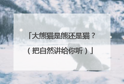 大熊猫是熊还是猫？（把自然讲给你听）