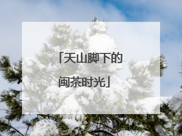 天山脚下的闽茶时光