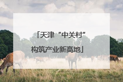 天津“中关村”构筑产业新高地
