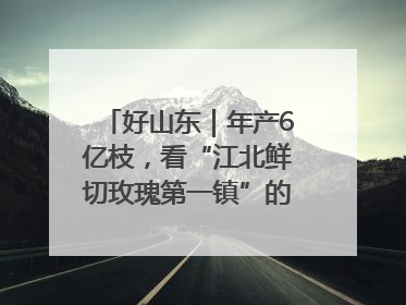 好山东｜年产6亿枝，看“江北鲜切玫瑰第一镇”的“美丽经济”