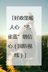 好政策暖人心 “孔雀蓝”增信心（国防视线）
