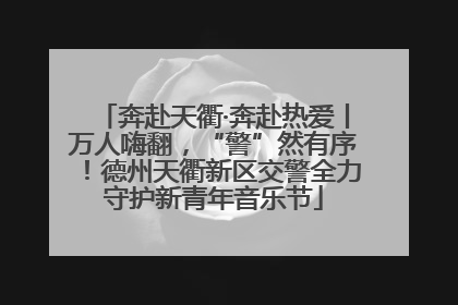 奔赴天衢·奔赴热爱丨万人嗨翻，“警”然有序！德州天衢新区交警全力守护新青年音乐节