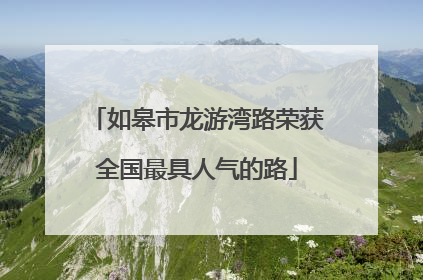 如皋市龙游湾路荣获全国最具人气的路