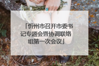忻州市召开市委书记专题会暨协调联络组第一次会议