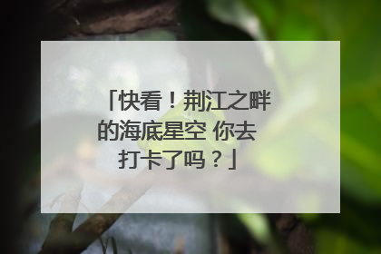 快看！荆江之畔的海底星空 你去打卡了吗？