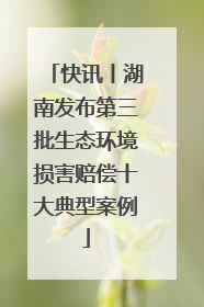 快讯丨湖南发布第三批生态环境损害赔偿十大典型案例