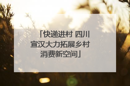 快递进村 四川宣汉大力拓展乡村消费新空间