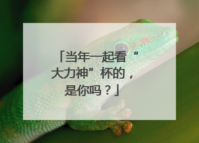 当年一起看“大力神”杯的，是你吗？