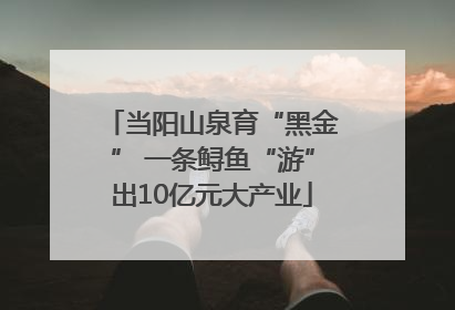 当阳山泉育“黑金” 一条鲟鱼“游”出10亿元大产业