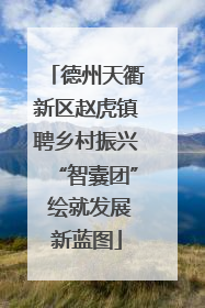 德州天衢新区赵虎镇聘乡村振兴“智囊团” 绘就发展新蓝图