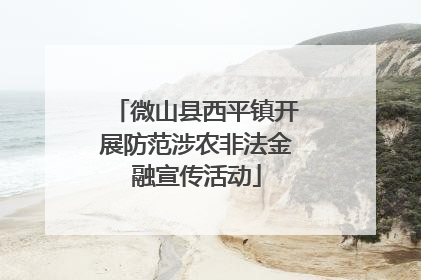 微山县西平镇开展防范涉农非法金融宣传活动