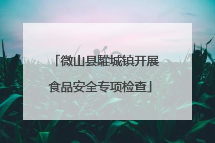 微山县驩城镇开展食品安全专项检查
