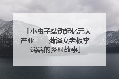 小虫子蠕动起亿元大产业——菏泽女老板李端端的乡村故事