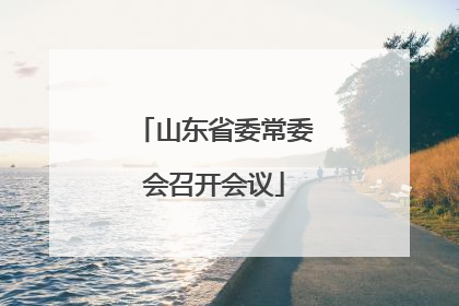 山东省委常委会召开会议