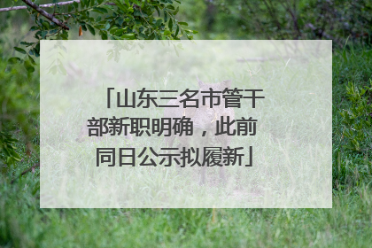 山东三名市管干部新职明确，此前同日公示拟履新