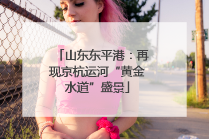 山东东平港：再现京杭运河“黄金水道”盛景