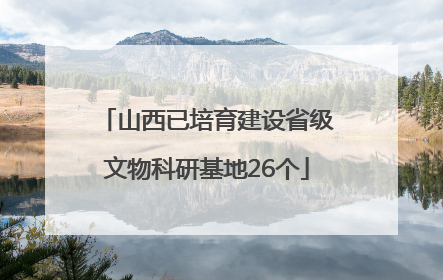 山西已培育建设省级文物科研基地26个