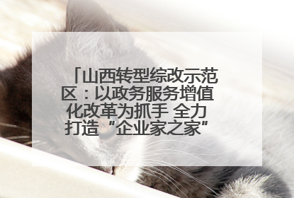 山西转型综改示范区：以政务服务增值化改革为抓手 全力打造“企业家之家”贴心服务体系