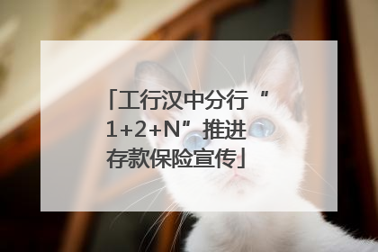 工行汉中分行“1+2+N”推进存款保险宣传