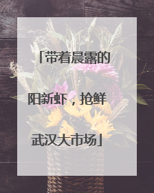 带着晨露的阳新虾，抢鲜武汉大市场
