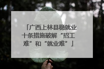 广西上林县稳就业十条措施破解“招工难”和“就业难”