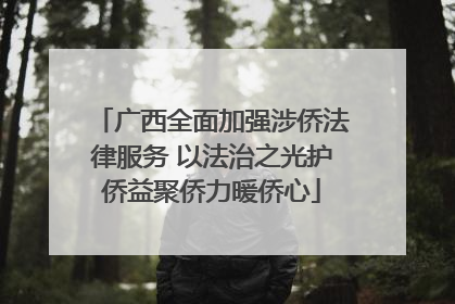 广西全面加强涉侨法律服务 以法治之光护侨益聚侨力暖侨心