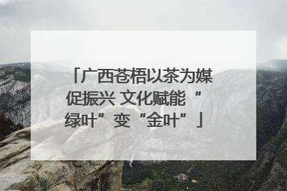 广西苍梧以茶为媒促振兴 文化赋能“绿叶”变“金叶”