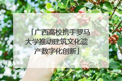 广西高校携手罗马大学推动建筑文化遗产数字化创新