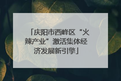 庆阳市西峰区“火辣产业”激活集体经济发展新引擎