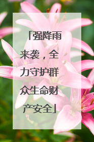 强降雨来袭，全力守护群众生命财产安全
