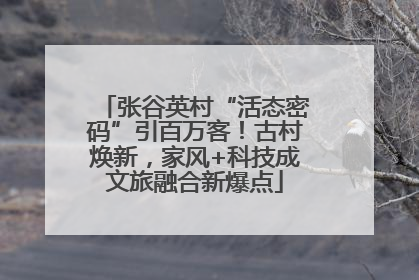 张谷英村“活态密码”引百万客！古村焕新，家风+科技成文旅融合新爆点