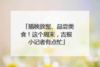 插秧放蟹、品尝美食！这个周末，吉报小记者有点忙