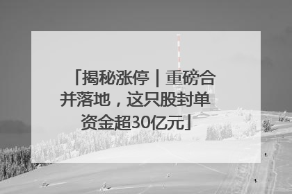 揭秘涨停｜重磅合并落地，这只股封单资金超30亿元