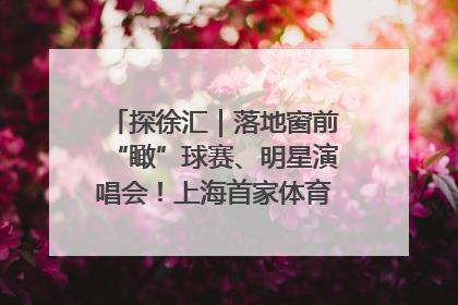 探徐汇｜落地窗前“瞰”球赛、明星演唱会！上海首家体育特色高端酒店亮相