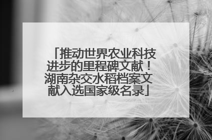 推动世界农业科技进步的里程碑文献！湖南杂交水稻档案文献入选国家级名录