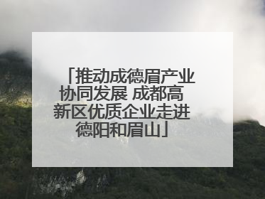 推动成德眉产业协同发展 成都高新区优质企业走进德阳和眉山