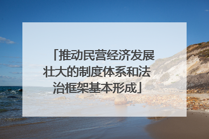 推动民营经济发展壮大的制度体系和法治框架基本形成
