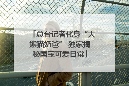 总台记者化身“大熊猫奶爸” 独家揭秘国宝可爱日常