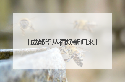 成都望丛祠焕新归来
