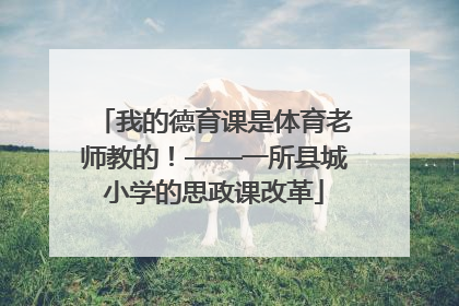 我的德育课是体育老师教的！——一所县城小学的思政课改革