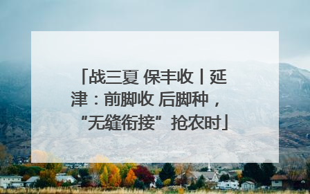 战三夏 保丰收丨延津：前脚收 后脚种，“无缝衔接”抢农时