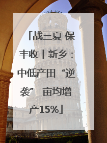 战三夏 保丰收丨新乡：中低产田“逆袭” 亩均增产15%