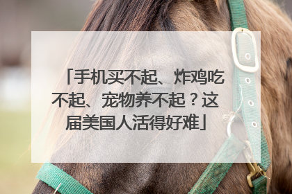手机买不起、炸鸡吃不起、宠物养不起？这届美国人活得好难
