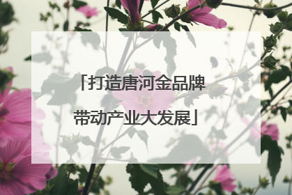 打造唐河金品牌 带动产业大发展
