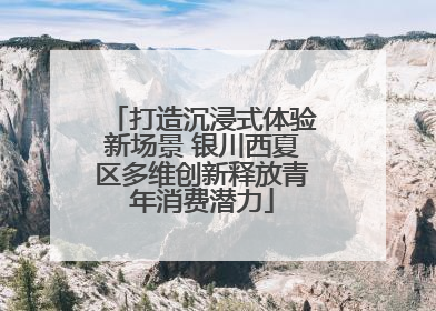 打造沉浸式体验新场景 银川西夏区多维创新释放青年消费潜力