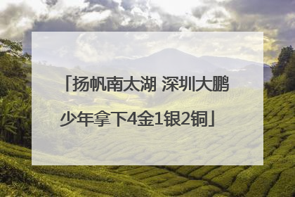 扬帆南太湖 深圳大鹏少年拿下4金1银2铜