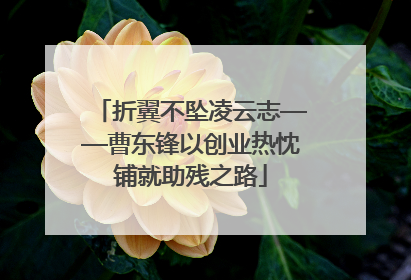 折翼不坠凌云志——曹东锋以创业热忱铺就助残之路